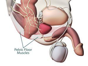 kegel exersices